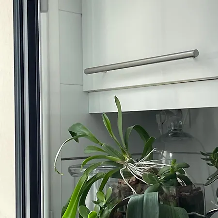 Premium Penthouse For 4 At The Heart Of The City Lejlighed Oviedo
